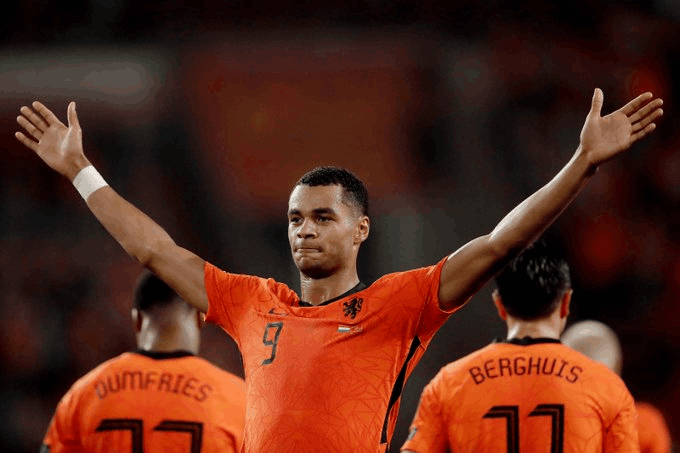 Senegal vs Netherlands Highlights